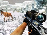 Sniper Hunting Jungle 2022 Online Shooting Games on NaptechGames.com
