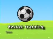 Soccer training Online Sports Games on NaptechGames.com