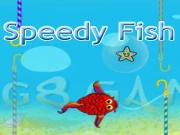 Speedy Fish Online Puzzle Games on NaptechGames.com