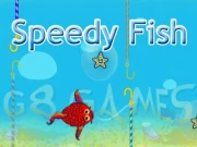 Speedy Fishing Online Puzzle Games on NaptechGames.com