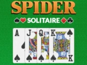 Spider Solitaire Pro Online Puzzle Games on NaptechGames.com