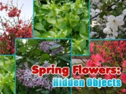 Spring Flowers: Hidden Objects Online HTML5 Games on NaptechGames.com