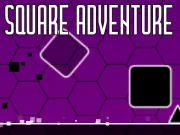 Square adventure Online Hypercasual Games on NaptechGames.com