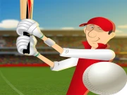 stick cricket Online Sports Games on NaptechGames.com