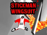 Stickman Wingsuit 3D Online sports Games on NaptechGames.com