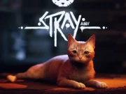 Stray Online Adventure Games on NaptechGames.com