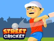 Street Cricket Online Sports Games on NaptechGames.com
