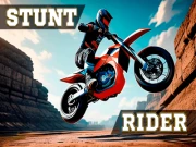 Stunt Rider Online sports Games on NaptechGames.com