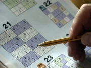 Sudoku 30 Levels Online Puzzle Games on NaptechGames.com