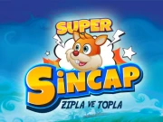 Super Squirrel Online Hypercasual Games on NaptechGames.com