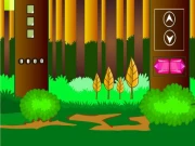 Swamp Rat Escape Online Puzzle Games on NaptechGames.com