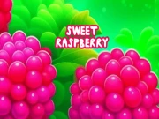 Sweet Raspberry Online arcade Games on NaptechGames.com