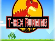T-Rex Running Color Online adventure Games on NaptechGames.com