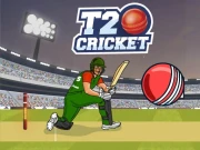T20 Cricket Online Sports Games on NaptechGames.com