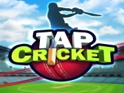 Tap Cricket Online Sports Games on NaptechGames.com