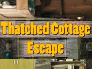 Thatched Cottage Escape Online Adventure Games on NaptechGames.com