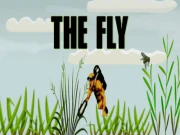 The Fly Online arcade Games on NaptechGames.com