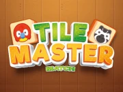 Tile Master Match Online Puzzle Games on NaptechGames.com