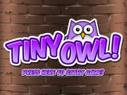 Tiny Owl Online Hypercasual Games on NaptechGames.com