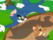 Tom And Jerry In Cooperation Online Adventure Games on NaptechGames.com