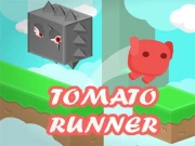TomatoRunner Online Adventure Games on NaptechGames.com