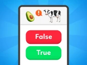True False - Quiz Online Puzzle Games on NaptechGames.com