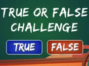 True or False Challenge Online Puzzle Games on NaptechGames.com