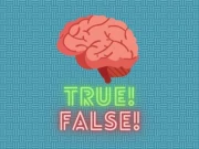 True or false quiz Online Puzzle Games on NaptechGames.com