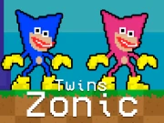 Twins Zonic Online Arcade Games on NaptechGames.com