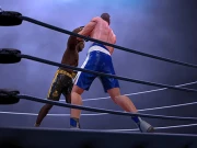Ultimate Boxing Game Online Battle Games on NaptechGames.com