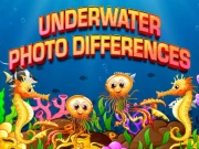 Underwater Photo Differences Online Puzzle Games on NaptechGames.com
