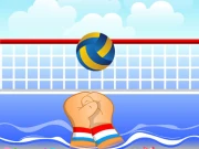 Volley ball Online Sports Games on NaptechGames.com