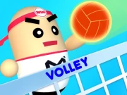 Volley Beans 3D Online HTML5 Games on NaptechGames.com