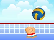 Volleyball Online Puzzle Games on NaptechGames.com