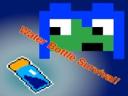 Water Bottle Survival Game! Online Hypercasual Games on NaptechGames.com