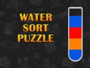 Water Sort Puzzle Game Online Arcade Games on NaptechGames.com