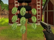 Watermelon Shooter Online Shooting Games on NaptechGames.com