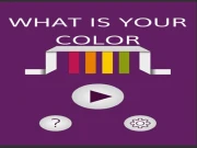 What is your color Online Hypercasual Games on NaptechGames.com