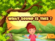 What sound is this ? Online Casual Games on NaptechGames.com
