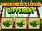 Which Insect Looks Different Online Puzzle Games on NaptechGames.com