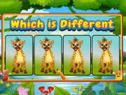 Which Is Different Animal Online Puzzle Games on NaptechGames.com