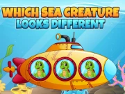 Which Sea Creature Looks Different Online Puzzle Games on NaptechGames.com