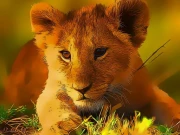 Wild Baby Animals Jigsaw Online Puzzle Games on NaptechGames.com