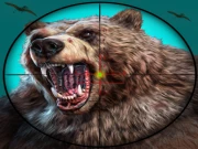 Wild Bear Hunting Game Online Casual Games on NaptechGames.com