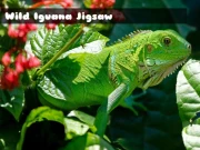 Wild Iguana Online Puzzle Games on NaptechGames.com
