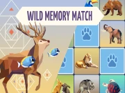 Wild Memory Online Puzzle Games on NaptechGames.com