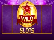 Wild Slot Online Puzzle Games on NaptechGames.com