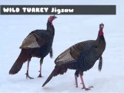Wild Turkey Jigsaw Online Puzzle Games on NaptechGames.com
