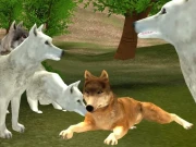 Wild Wolves Online Adventure Games on NaptechGames.com
