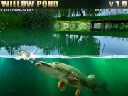 Willow Pond Online Sports Games on NaptechGames.com